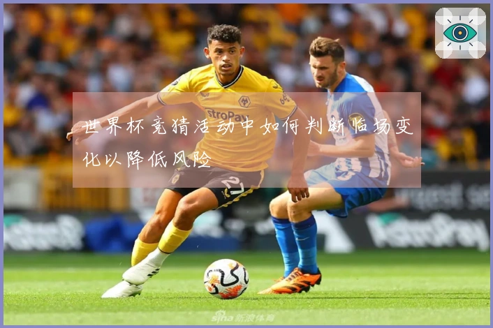 世界杯竞猜活动中如何判断临场变化以降低风险