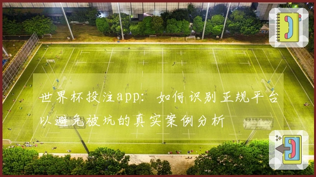 世界杯投注app：如何识别正规平台以避免被坑的真实案例分析