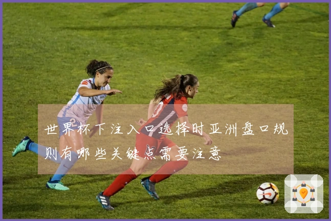 世界杯下注入口选择时亚洲盘口规则有哪些关键点需要注意