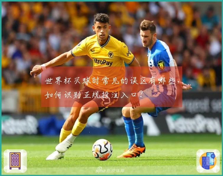 世界杯买球时常见的误区有哪些，如何识别正规投注入口？