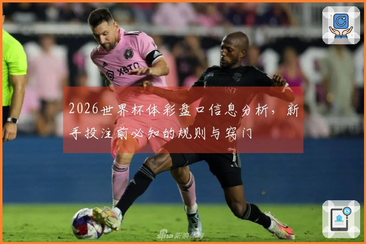 2026世界杯体彩盘口信息分析，新手投注前必知的规则与窍门