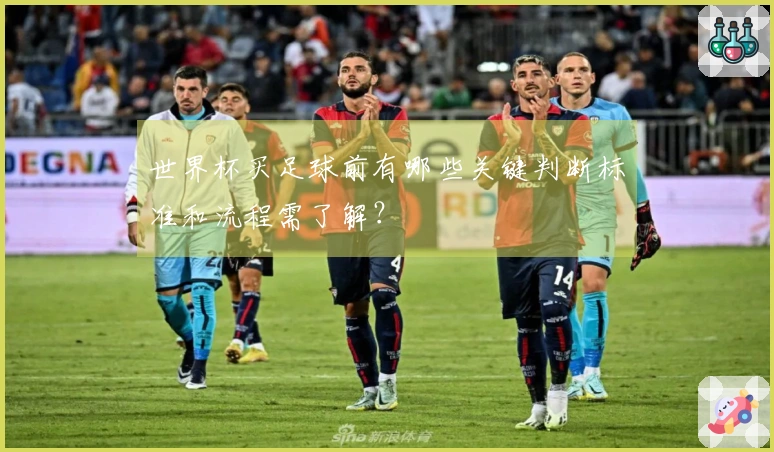 世界杯买足球前有哪些关键判断标准和流程需了解？