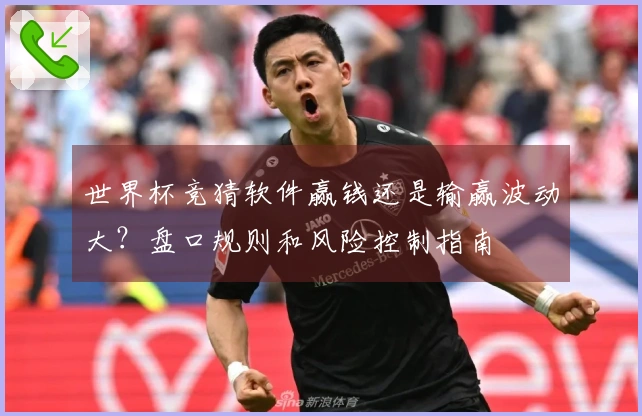 世界杯竞猜软件赢钱还是输赢波动大？盘口规则和风险控制指南