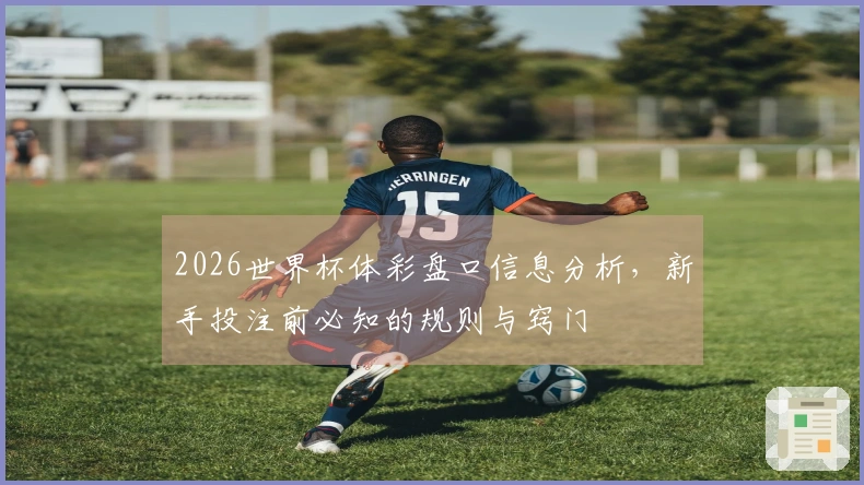 2026世界杯体彩盘口信息分析，新手投注前必知的规则与窍门